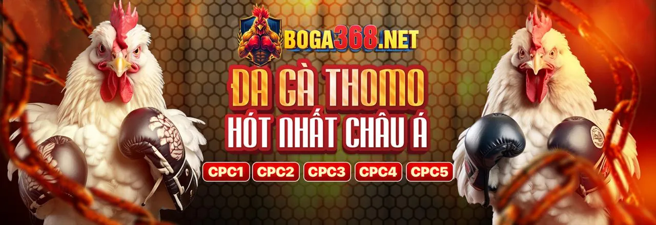 Người Chia Bài Trực Tiếp 89vin