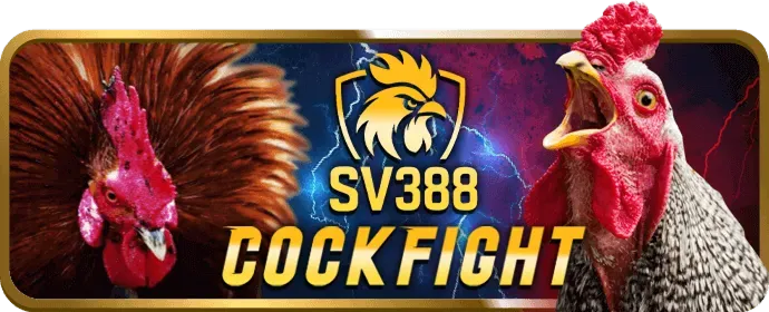 Hỗ trợ khách hàng VIP 24/7